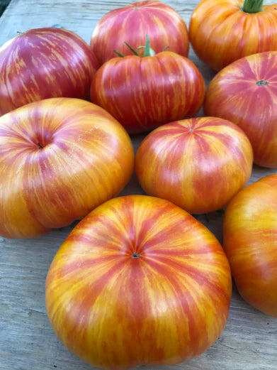Worry Tomato - Container Tomato! – Kitchen Table Seed House
