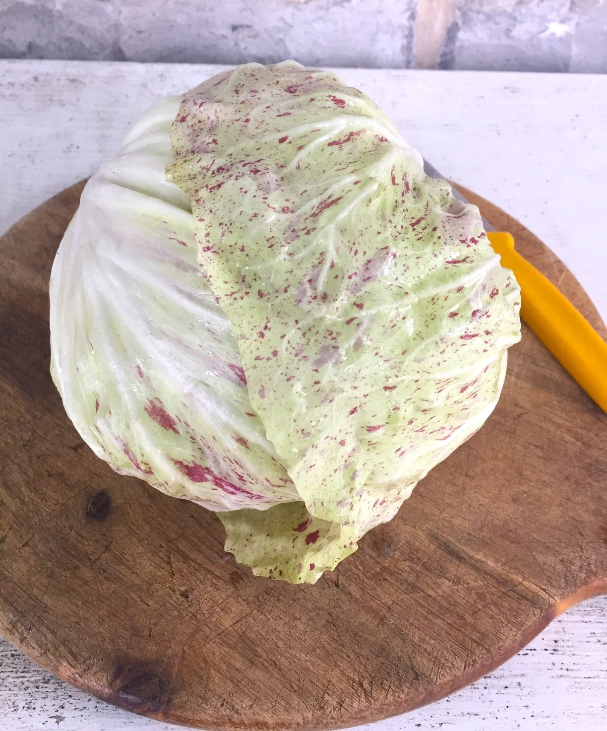 di Lusia Radicchio