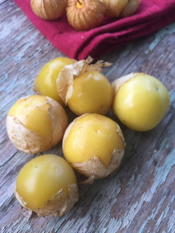 Dr. Wyche's Yellow Tomatillo - Heirloom!
