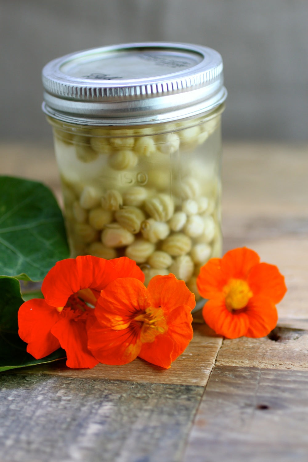 Nasturtium Mix