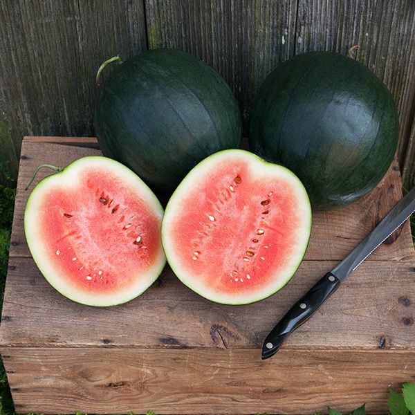 Sugar Baby Watermelon – Kitchen Table Seed House