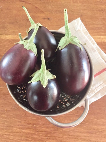 Heart of the North Eggplant