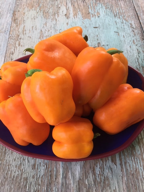 Orange bell best sale pepper