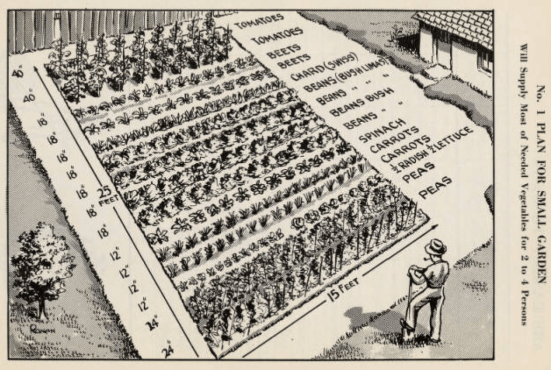 Small Plot Gardens