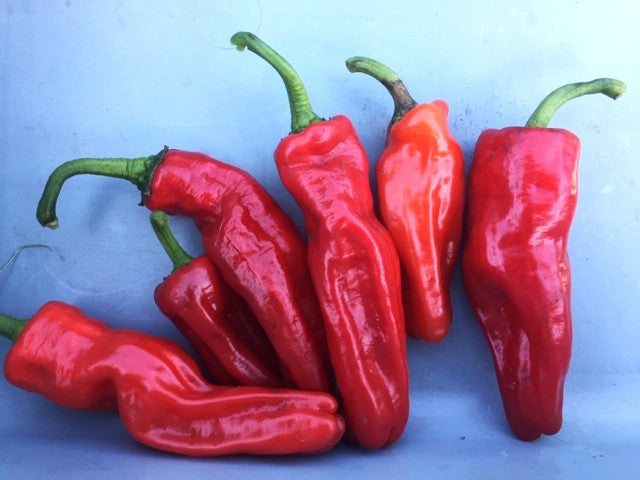 Aleppo Hot Pepper
