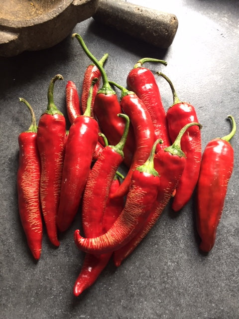 Boldog Paprika Pepper