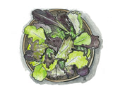 Garden Party Lettuce Mix - ART PACKET
