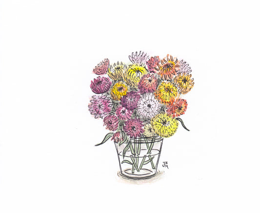 King Mix Strawflower - ART PACKET