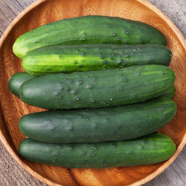 Marketmore 76 Cucumber