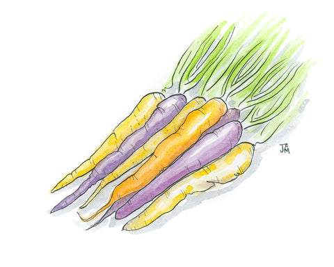 Rainbow Mix Carrot - ART PACKET