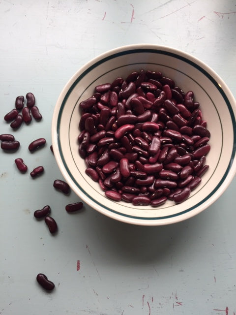 Red Kidney Dry Bean