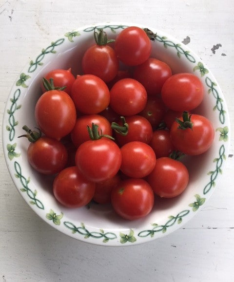 Riesentraube Tomato - Heirloom!