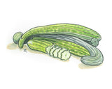 Suyo Long Cucumber - ART PACKET