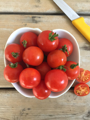 Bing Tomato