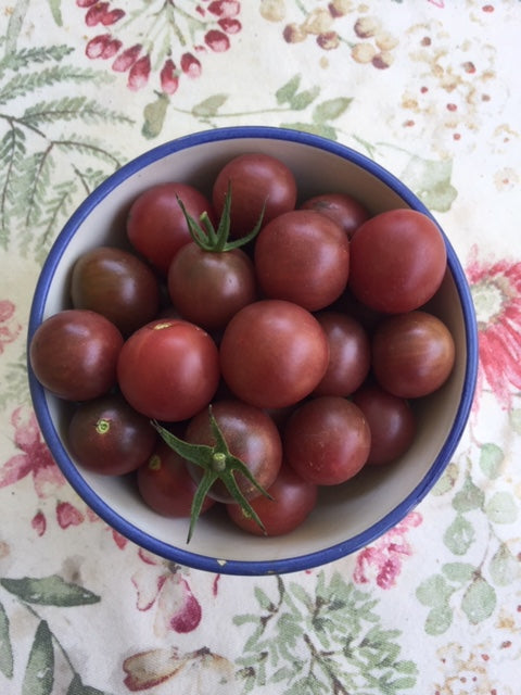 Black Cherry Tomato