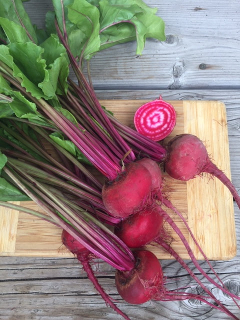 Chioggia Guardsmark Beet