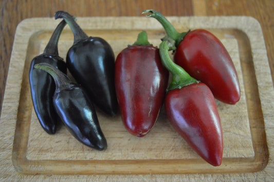 Czech Black Hot Pepper