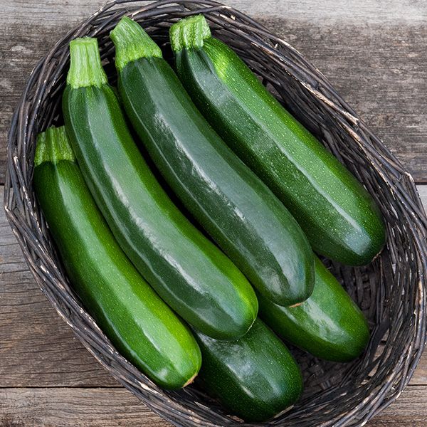 Dark Star Zucchini