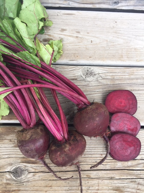 Detroit Dark Red Beet - Heirloom!