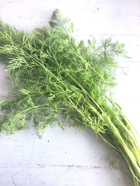 Bouquet Dill