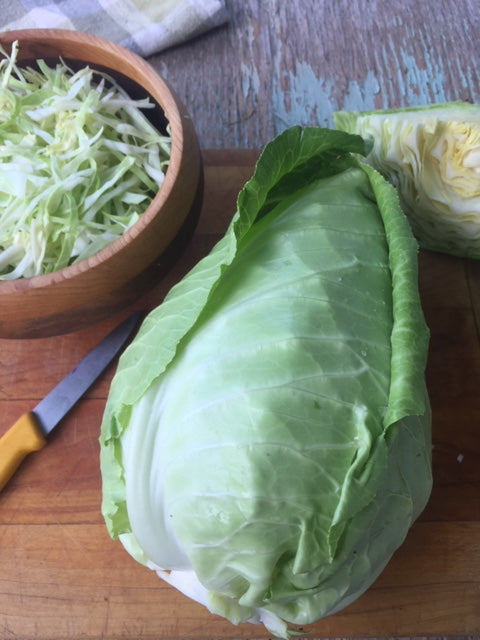 Early Jersey Wakefield Cabbage - Heirloom!