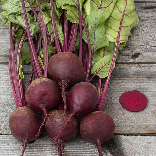 Early Wonder Tall Top Beet