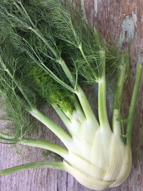 Finale Fennel