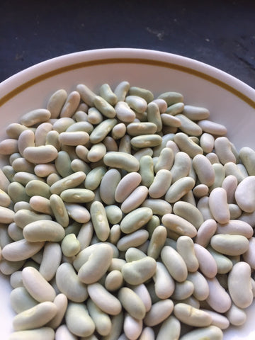 Flageolet Vert Dry Bean