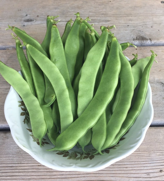 Garden of Eden Pole Bean