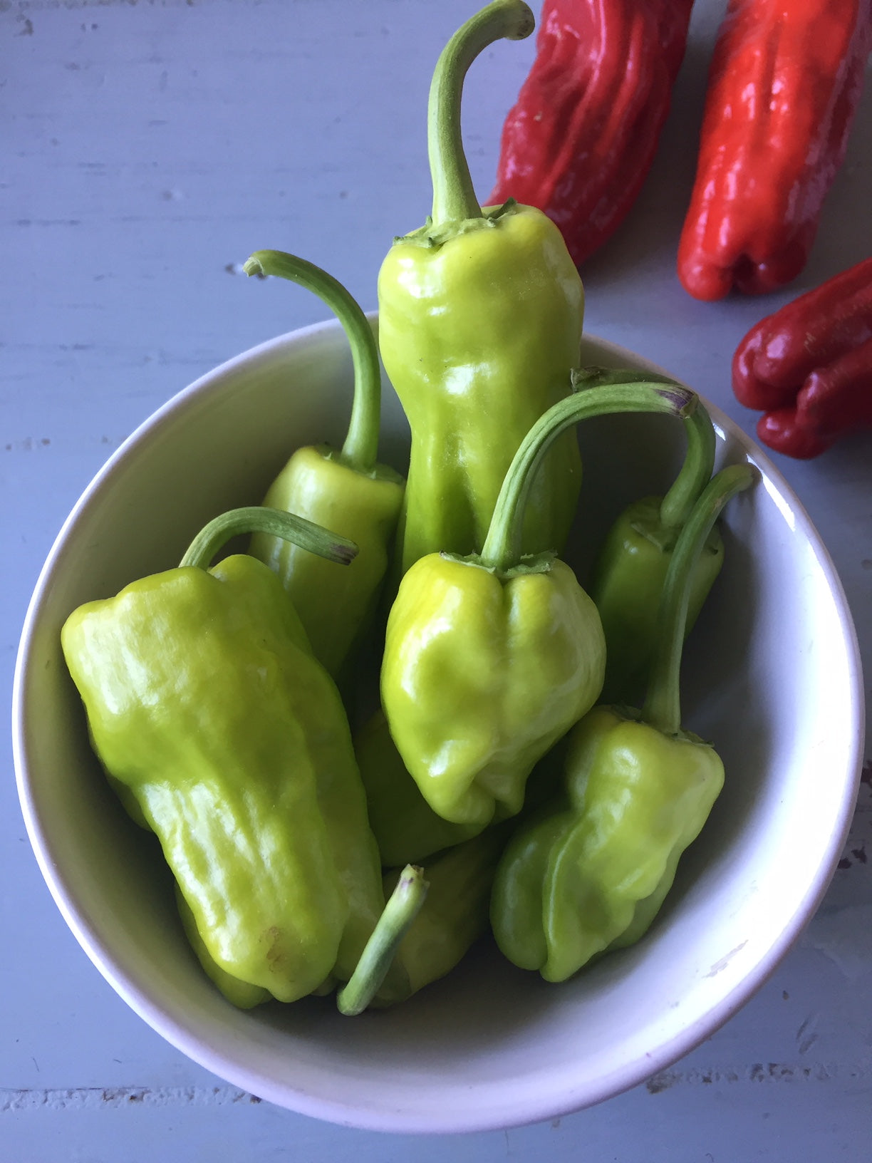 Greek Pepperoncini Hot Pepper - Heirloom!