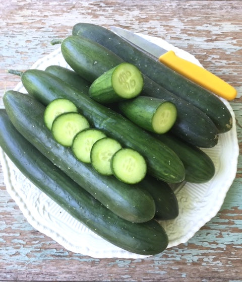 Green Finger Cucumber