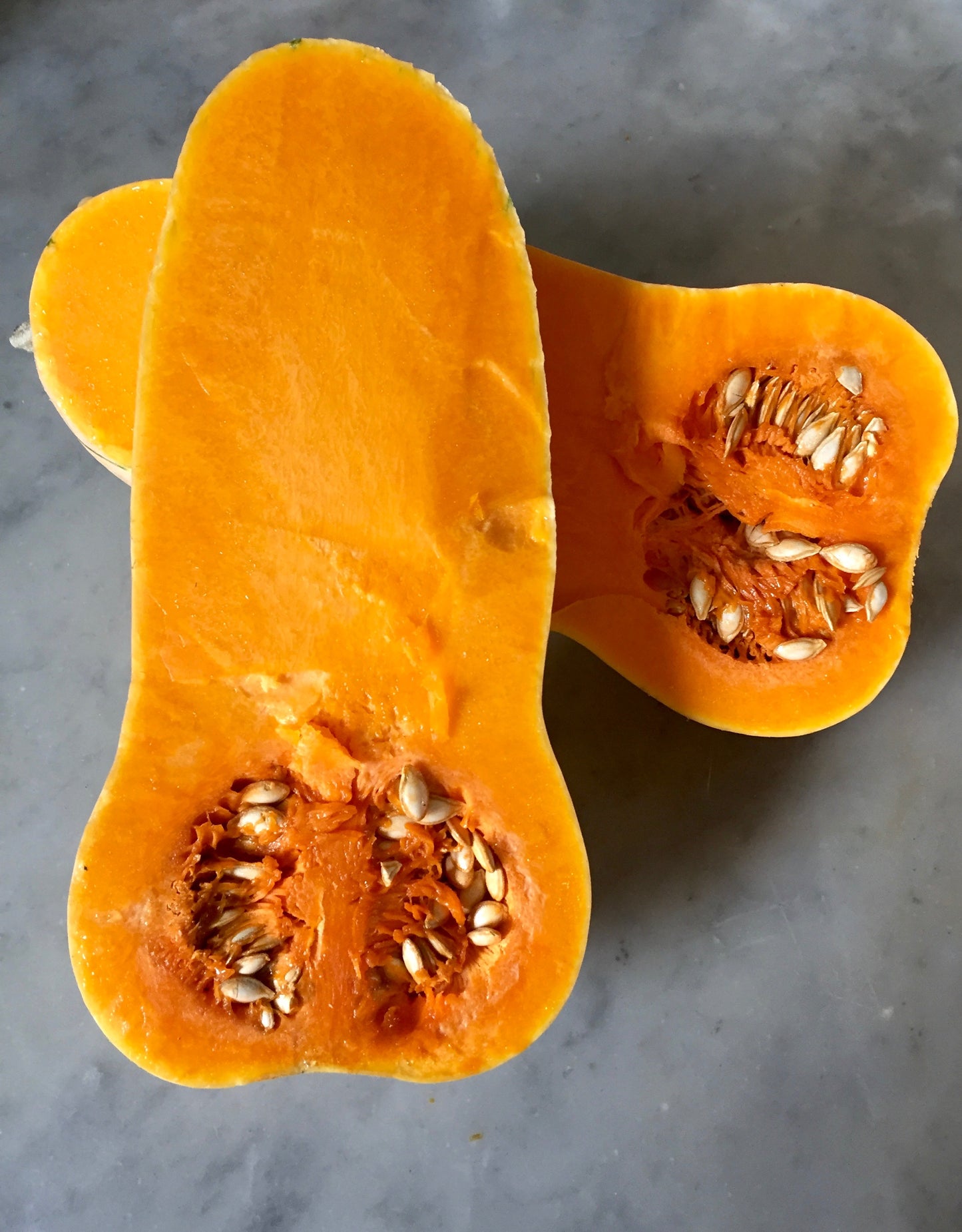 Butternut Early Remix Squash