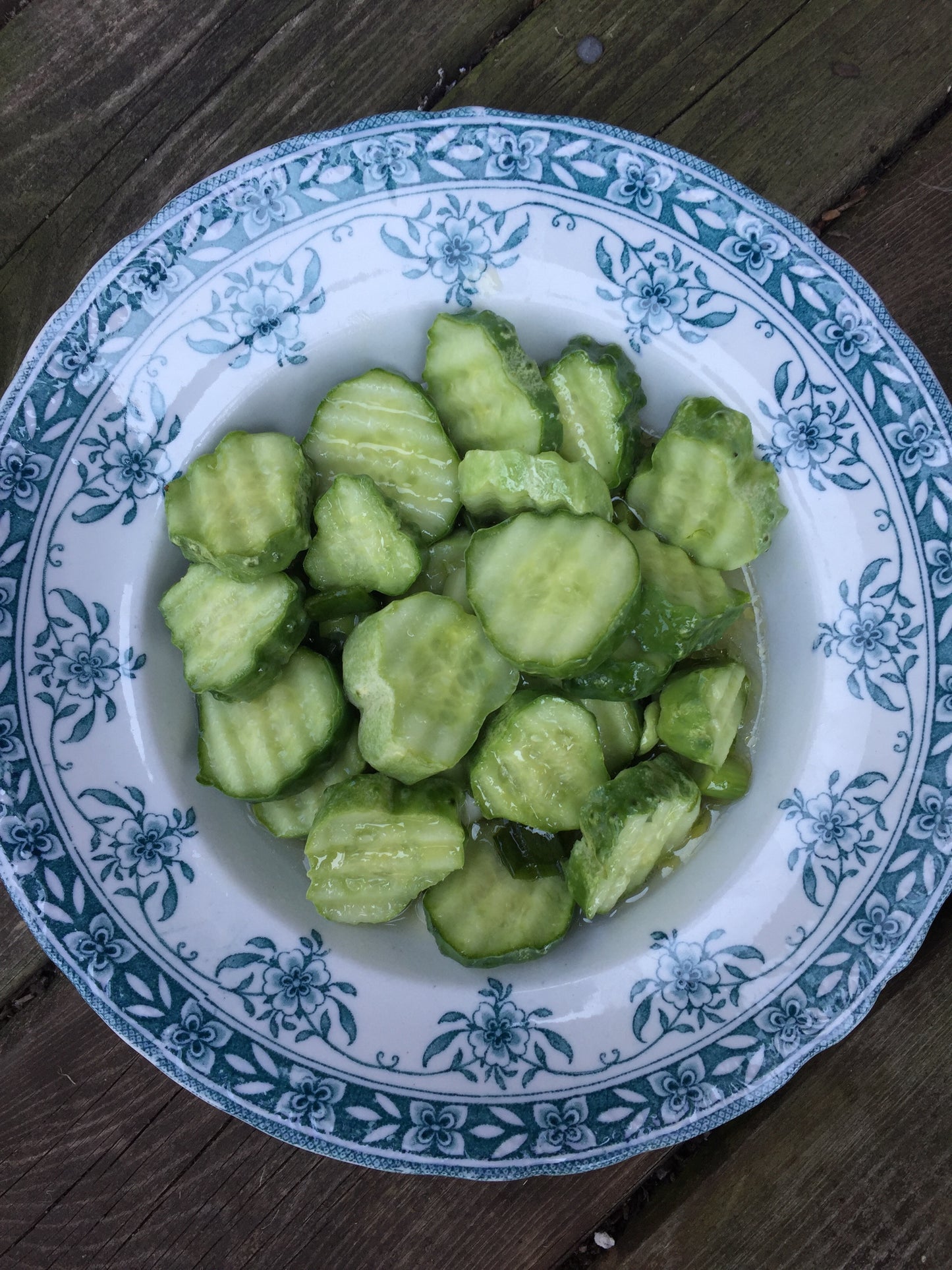 National Pickling Cucumber - Heirloom!