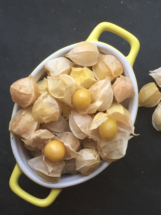 Aunt Molly's Ground Cherry