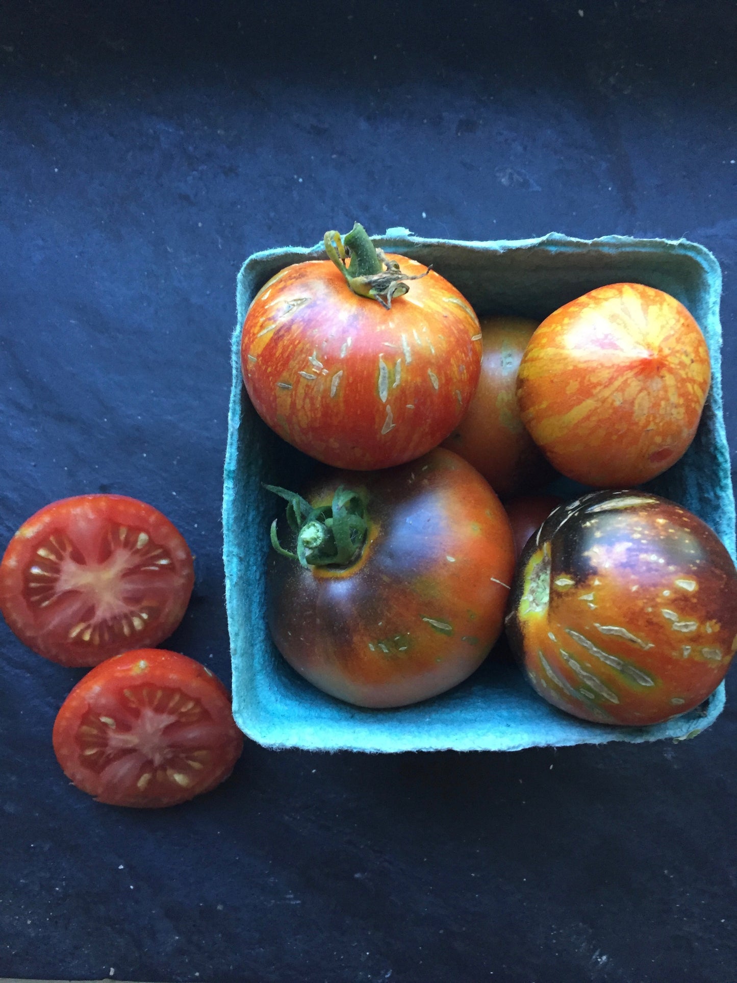 Cosmos Tomato