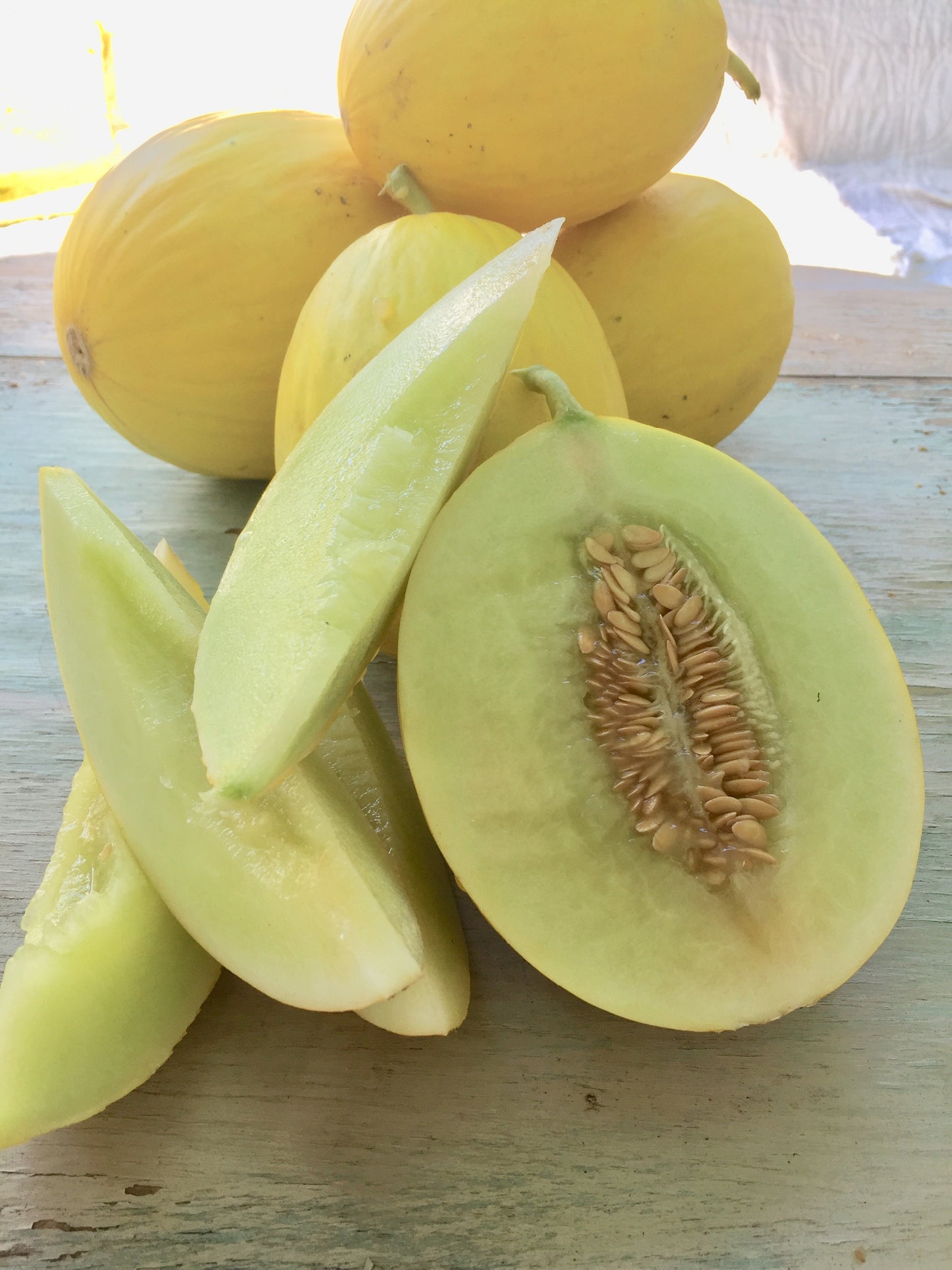 Sweet Gold Melon