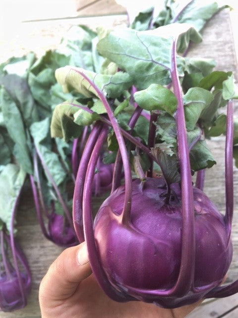 Azur Star Kohlrabi