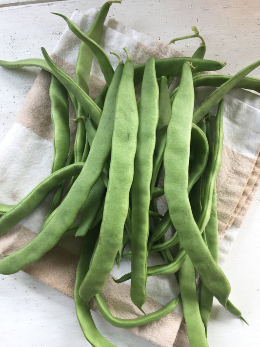 Northeaster Pole Bean