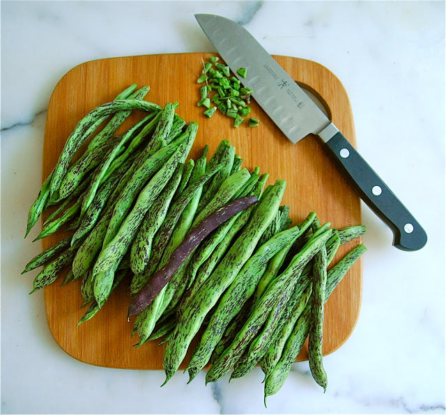 Rattlesnake Pole Bean - Heirloom!