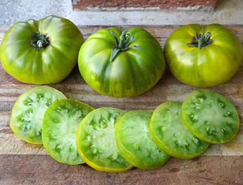 Tasty Evergreen Tomato