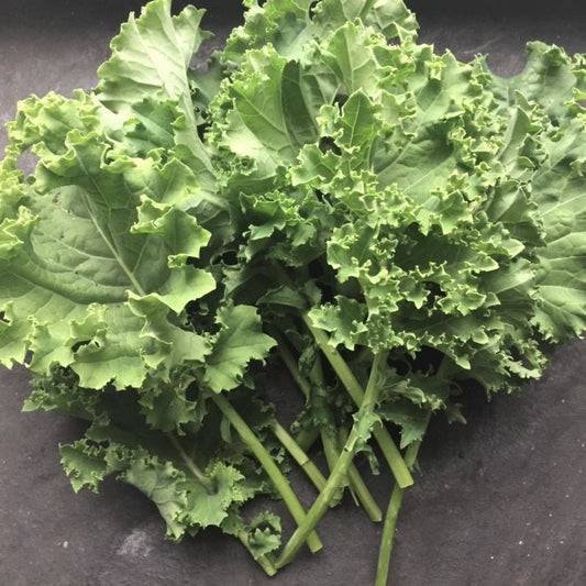 Westlander Kale