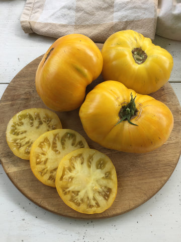 Yellow Radiance Tomato