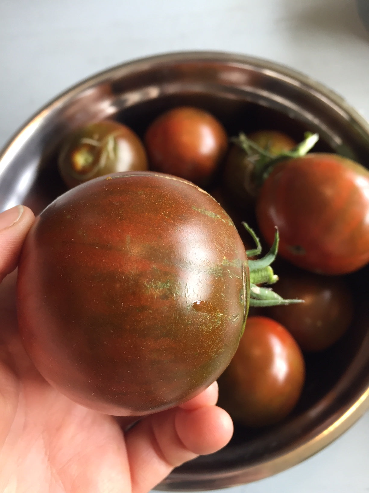 Black Prince Tomato