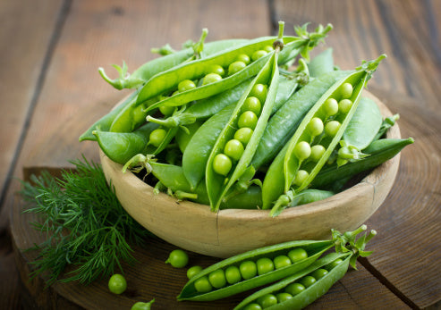 Champion of England Shelling Pea - Heirloom!