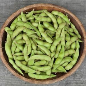 Chiba Green Soybean