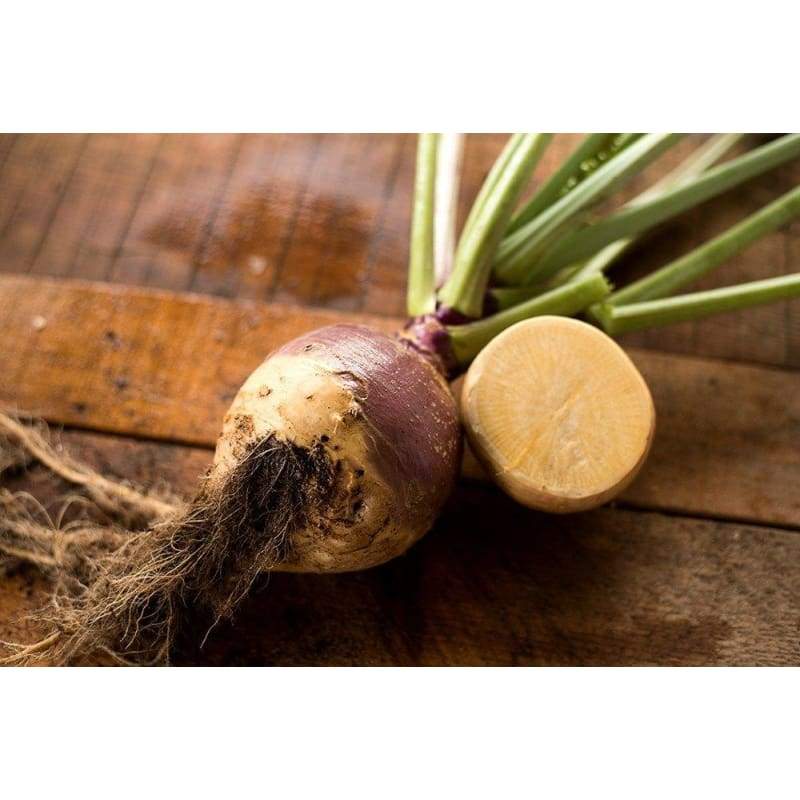 Helenor Rutabaga