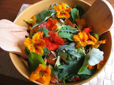 Nasturtium Mix