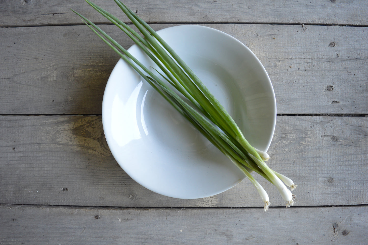 Parade Bunching Onion