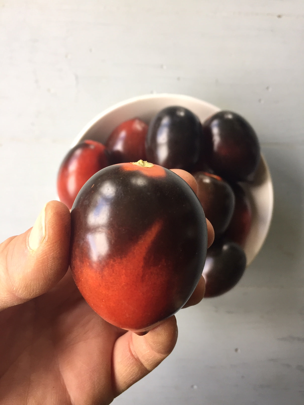 Midnight Roma Tomato